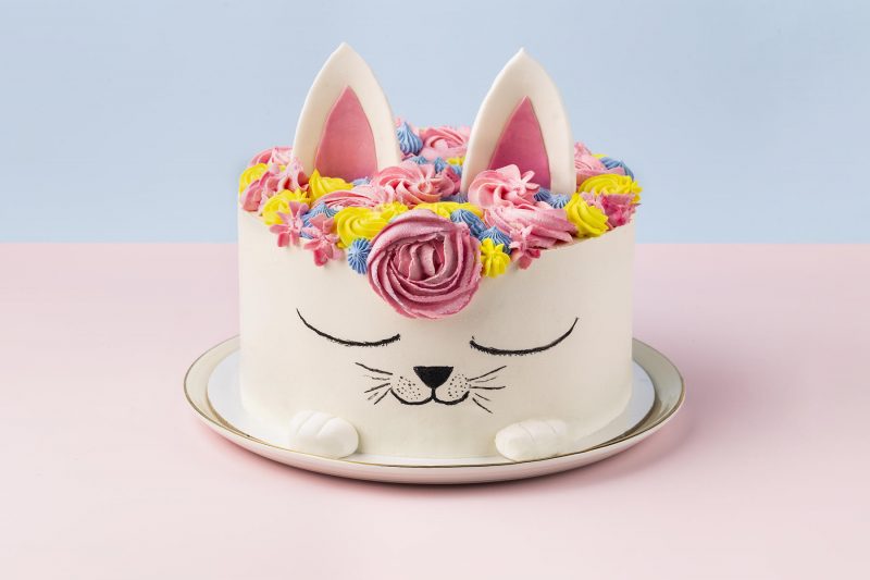 Cat Cake